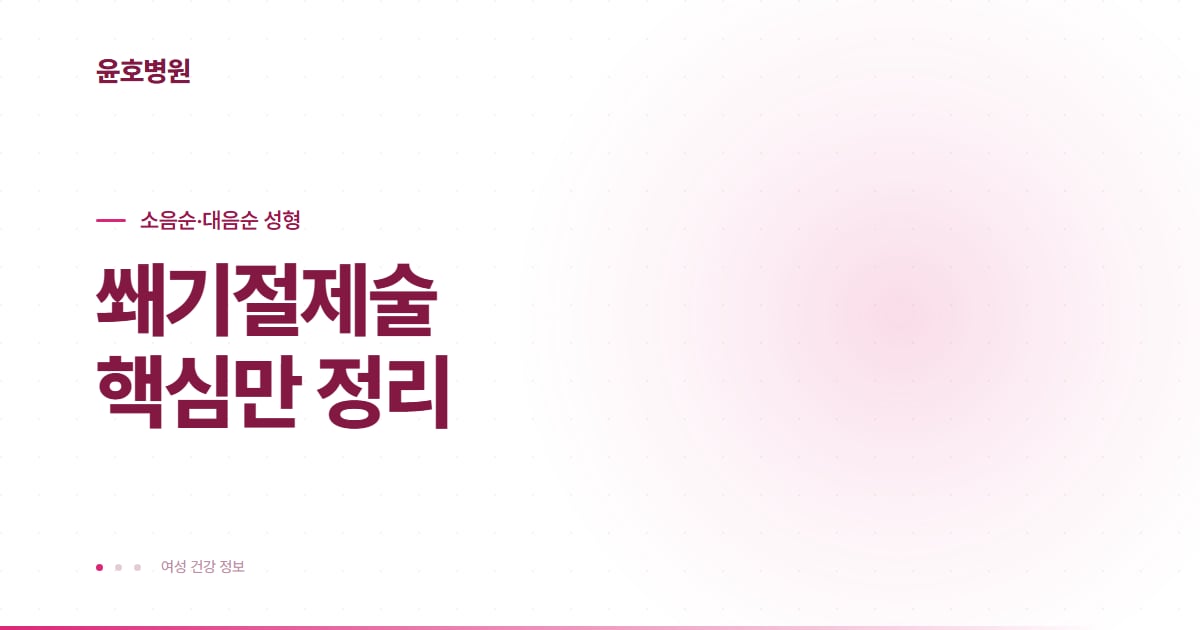 쐐기절제술 소음순 성형 핵심 정리 대표 이미지