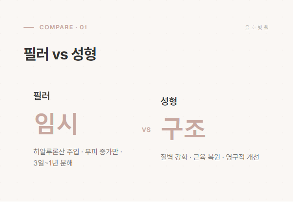 필러 vs 성형 비교