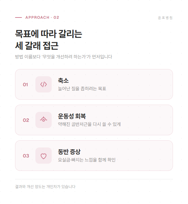 축소, 운동성 회복, 동반 증상이라는 세 갈래 목표를 정리한 도해