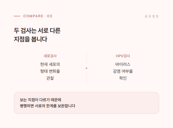 세포검사와 HPV검사 비교 정보