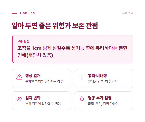소음순 성형에서 알아둘 위험과 조직 보존 관점 정리