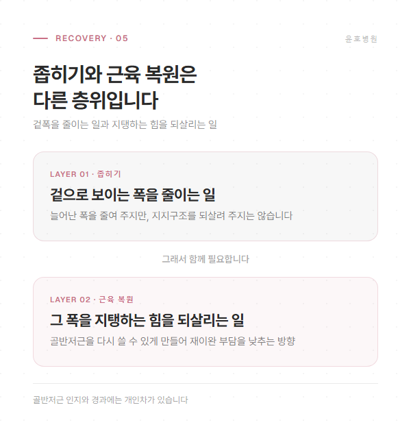 좁히기와 근육 복원이 서로 다른 층위임을 정리한 도해