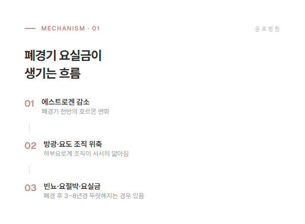 폐경기 요실금이 생기는 흐름 도식