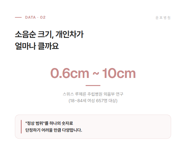 소음순 크기 개인차 연구 데이터 도식