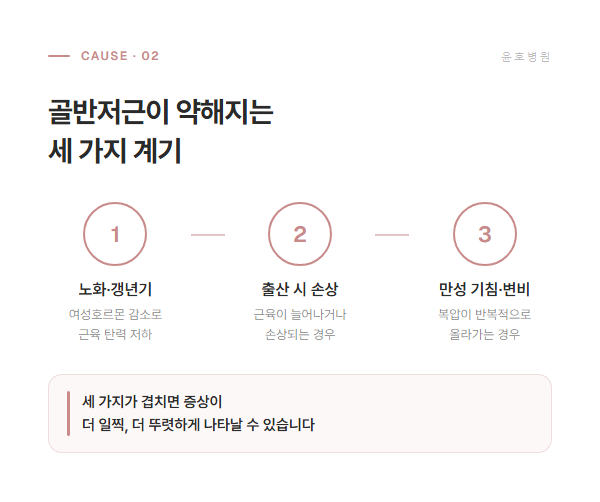 골반저근이 약해지는 세 가지 계기 도식