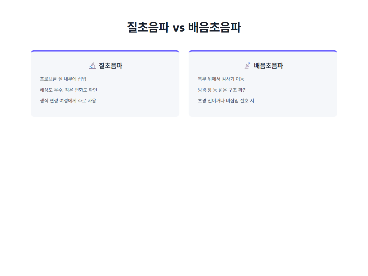 질초음파와 배음초음파 비교, 삽입 방식·해상도·적용 대상 차이