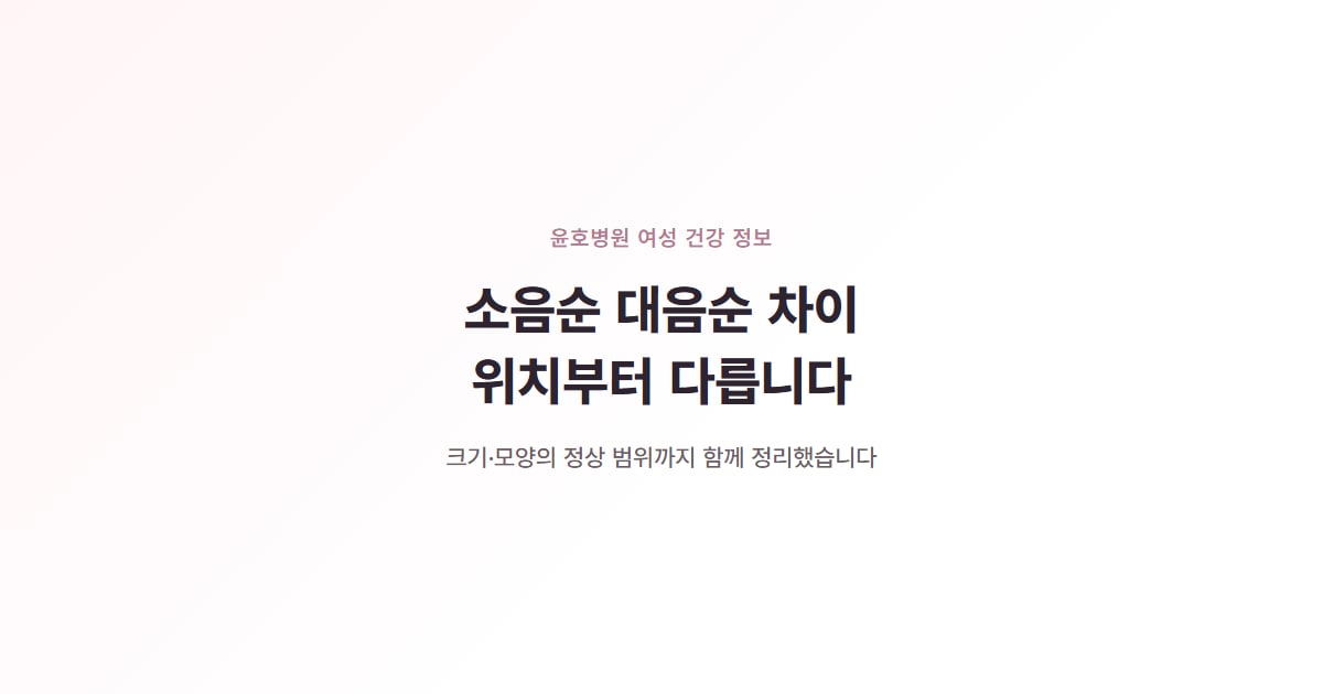 소음순 대음순 차이, 위치부터 다릅니다